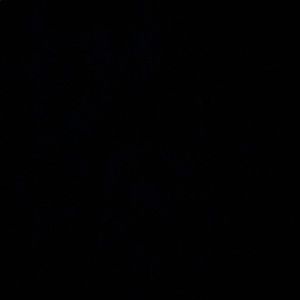 Meet your Posher, Norma